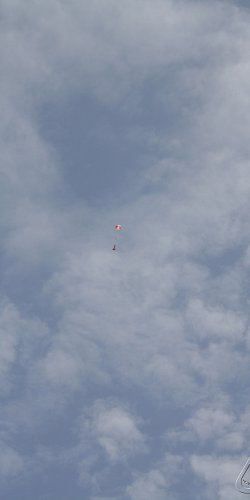 2013 Svojek Mirek Topinka